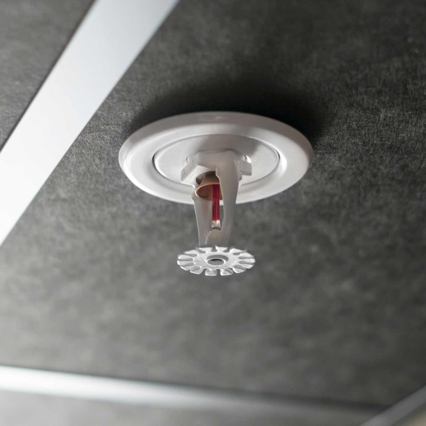 NCCS Group - A fire safety sprinkler installed in a ceiling panel.